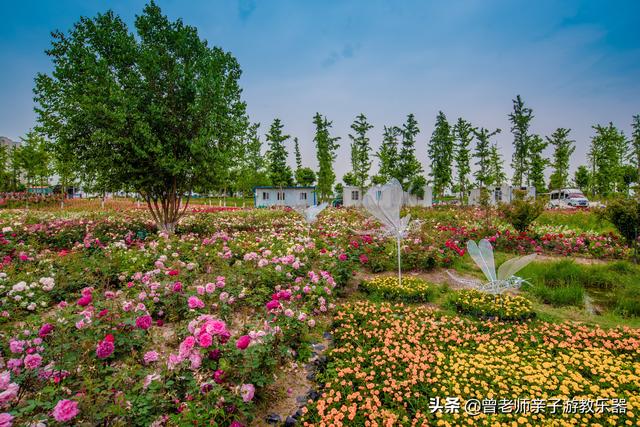 广东南岭旅游攻略 第268张