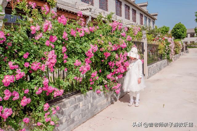 广东南岭旅游攻略 第277张