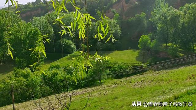 广东南岭旅游攻略 第279张
