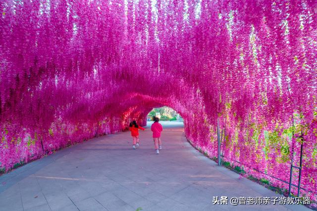 广东南岭旅游攻略 第284张