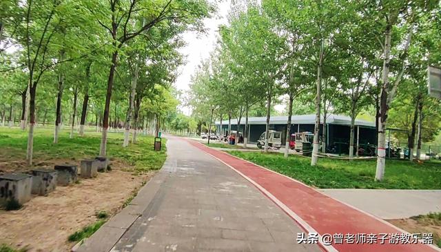 广东南岭旅游攻略 第303张