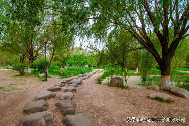 广东南岭旅游攻略 第300张