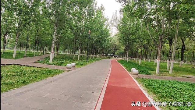 广东南岭旅游攻略 第307张