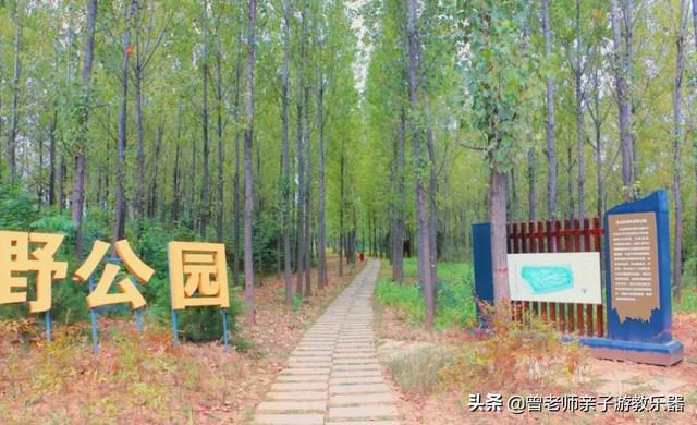 广东南岭旅游攻略 第321张