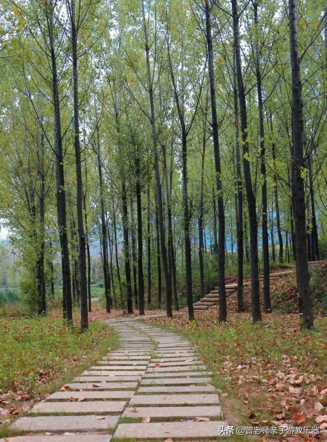 广东南岭旅游攻略 第324张