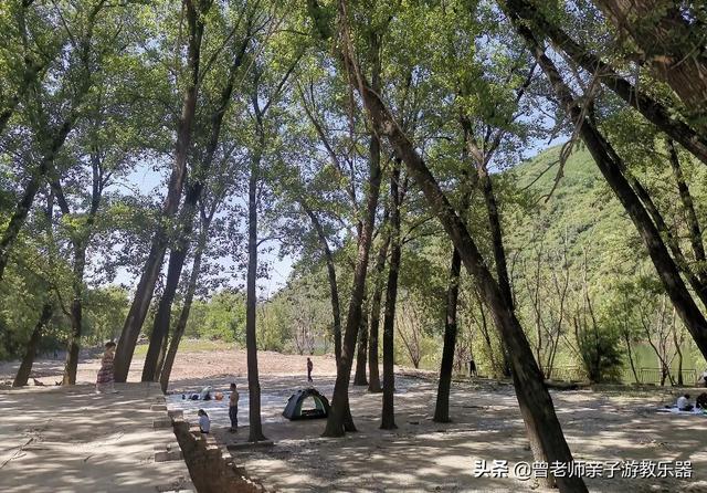 广东南岭旅游攻略 第338张