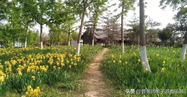 广东南岭旅游攻略 第353张