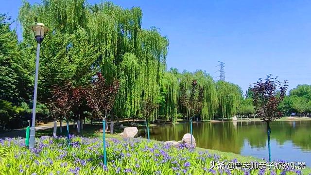 广东南岭旅游攻略 第374张