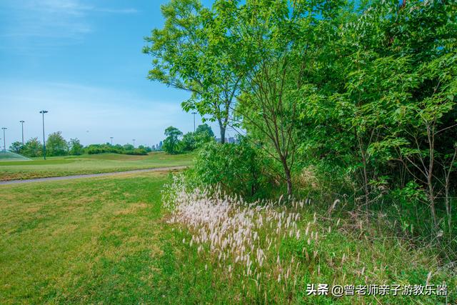 广东南岭旅游攻略 第378张