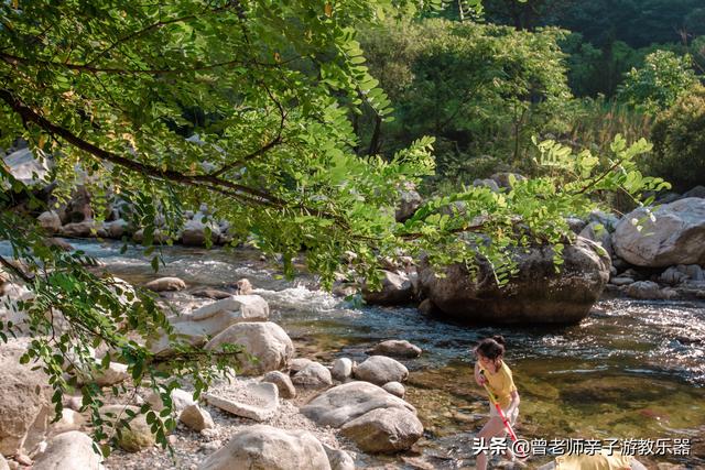 广东南岭旅游攻略 第388张