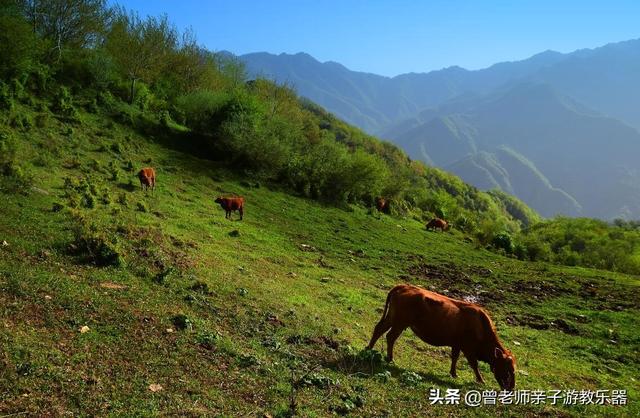广东南岭旅游攻略 第391张