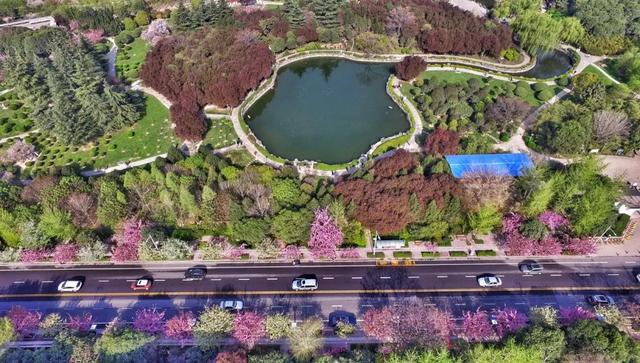 西安高新旅游“金名片”高新旅游项目分析高新盛项目分析 第26张
