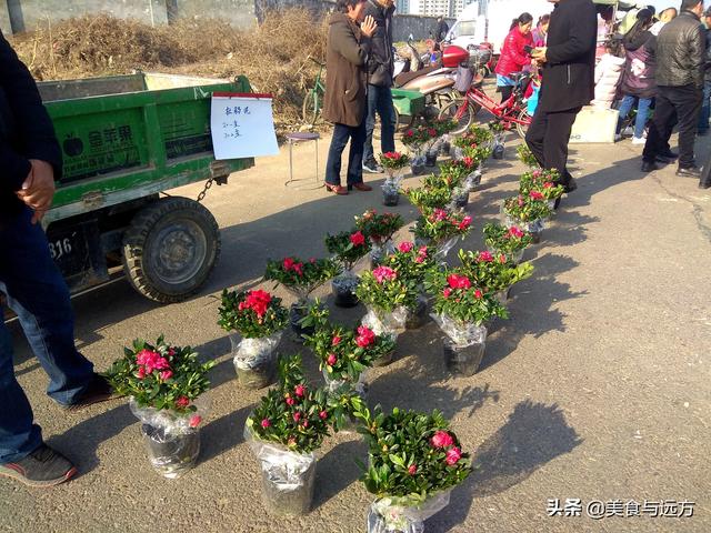 自由市场环山路边的“网红”舞场,人多车多, 第15张