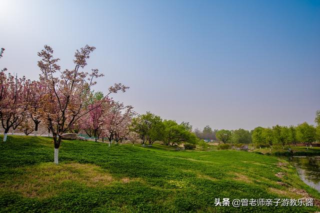 广东南岭旅游攻略 第11张