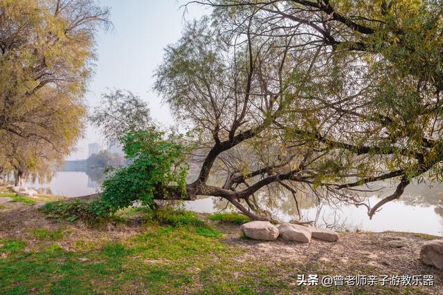 广东南岭旅游攻略 第13张
