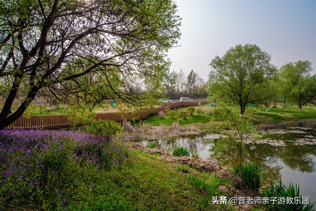 广东南岭旅游攻略 第12张