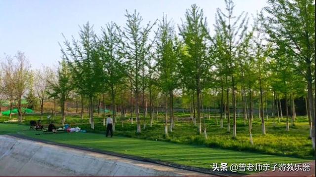 广东南岭旅游攻略 第40张