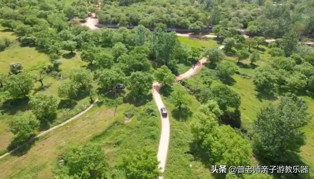 广东南岭旅游攻略 第47张