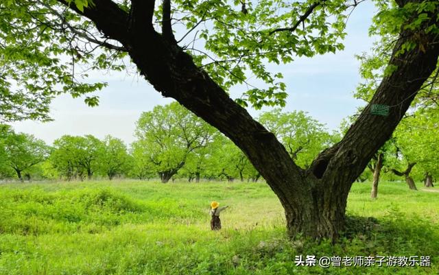 广东南岭旅游攻略 第46张