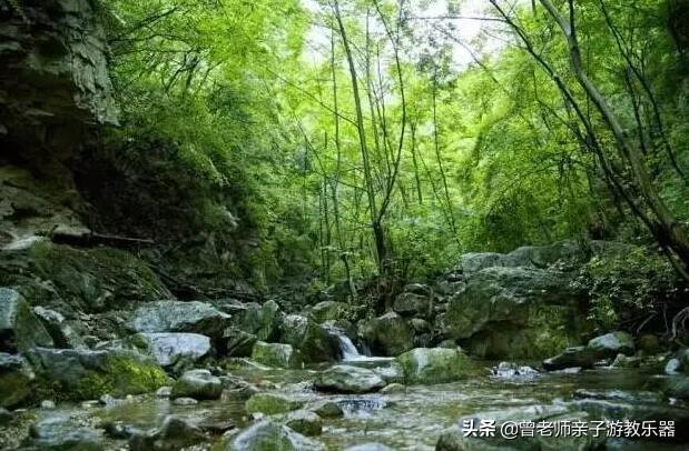 广东南岭旅游攻略 第75张