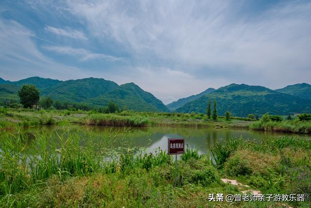广东南岭旅游攻略 第77张