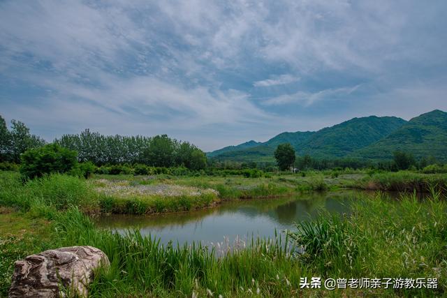 广东南岭旅游攻略 第76张