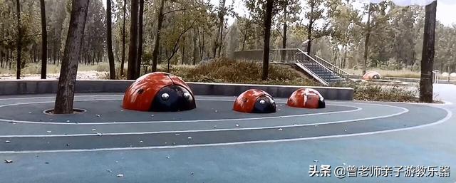 广东南岭旅游攻略 第93张
