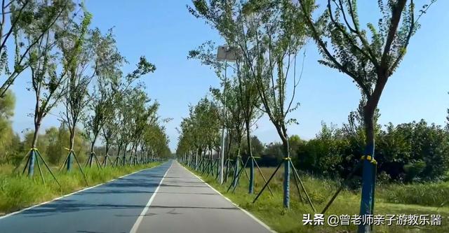 广东南岭旅游攻略 第104张