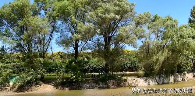 广东南岭旅游攻略 第101张