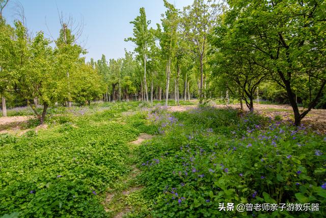 广东南岭旅游攻略 第144张