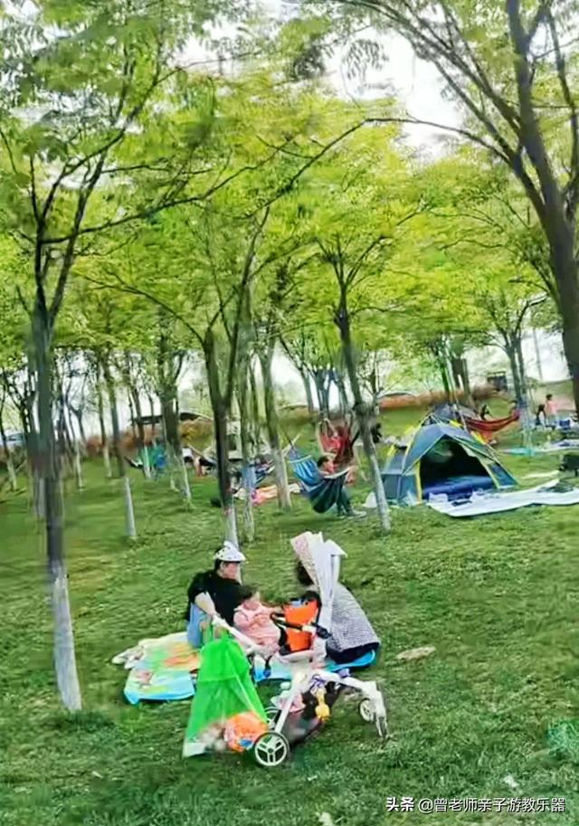广东南岭旅游攻略 第155张
