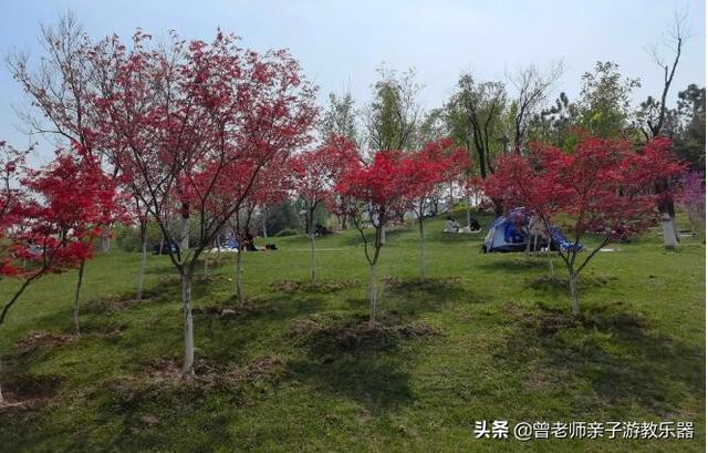广东南岭旅游攻略 第172张