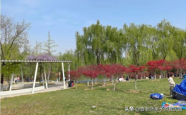 广东南岭旅游攻略 第171张