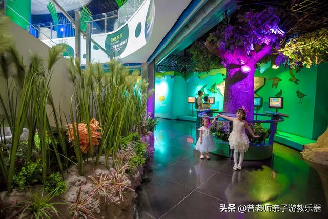 广东南岭旅游攻略 第173张