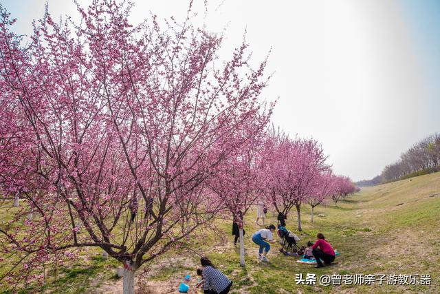 广东南岭旅游攻略 第182张