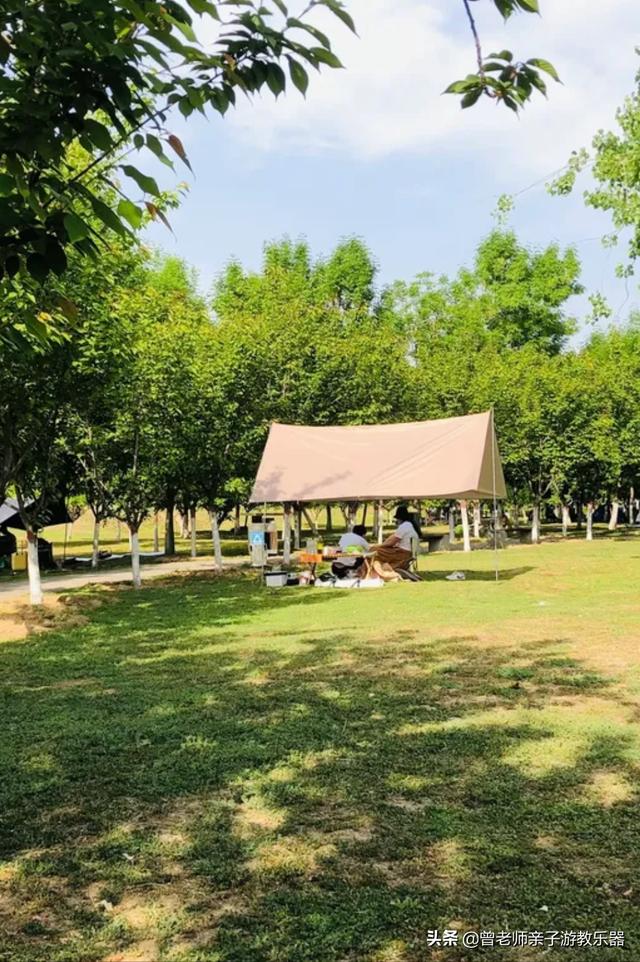 广东南岭旅游攻略 第183张