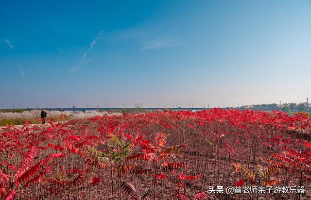 广东南岭旅游攻略 第200张