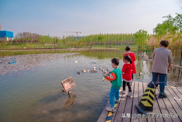 广东南岭旅游攻略 第209张