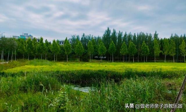 广东南岭旅游攻略 第217张
