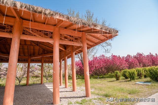 广东南岭旅游攻略 第207张