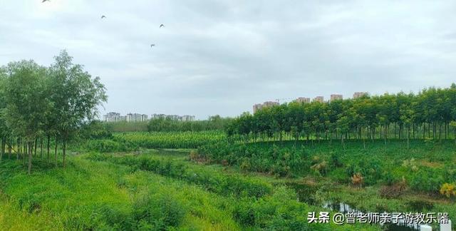 广东南岭旅游攻略 第216张
