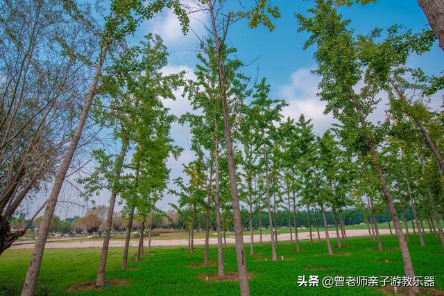 广东南岭旅游攻略 第247张