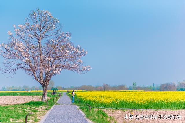 广东南岭旅游攻略 第252张