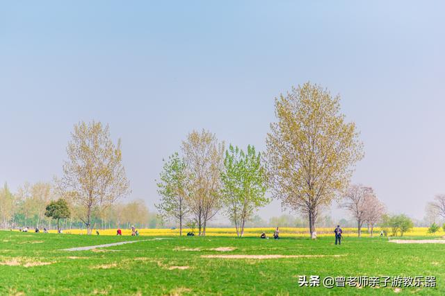 广东南岭旅游攻略 第253张