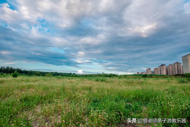 广东南岭旅游攻略 第257张
