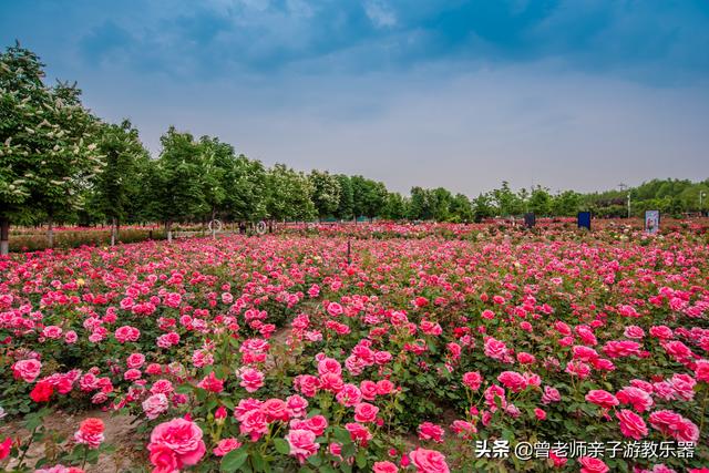 广东南岭旅游攻略 第270张