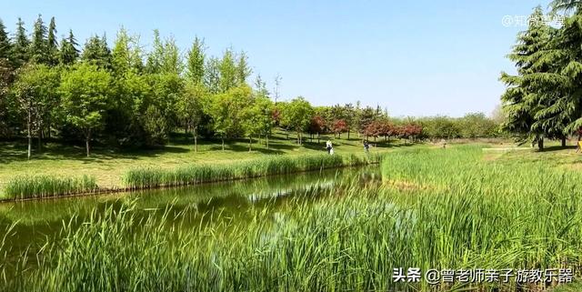 广东南岭旅游攻略 第291张