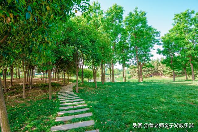 广东南岭旅游攻略 第292张
