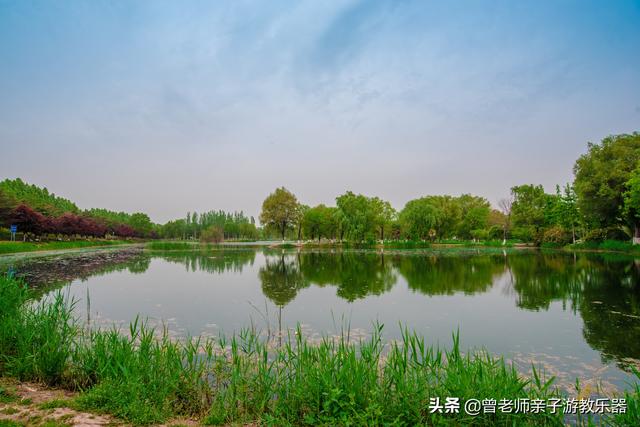 广东南岭旅游攻略 第299张