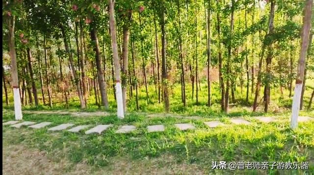 广东南岭旅游攻略 第316张
